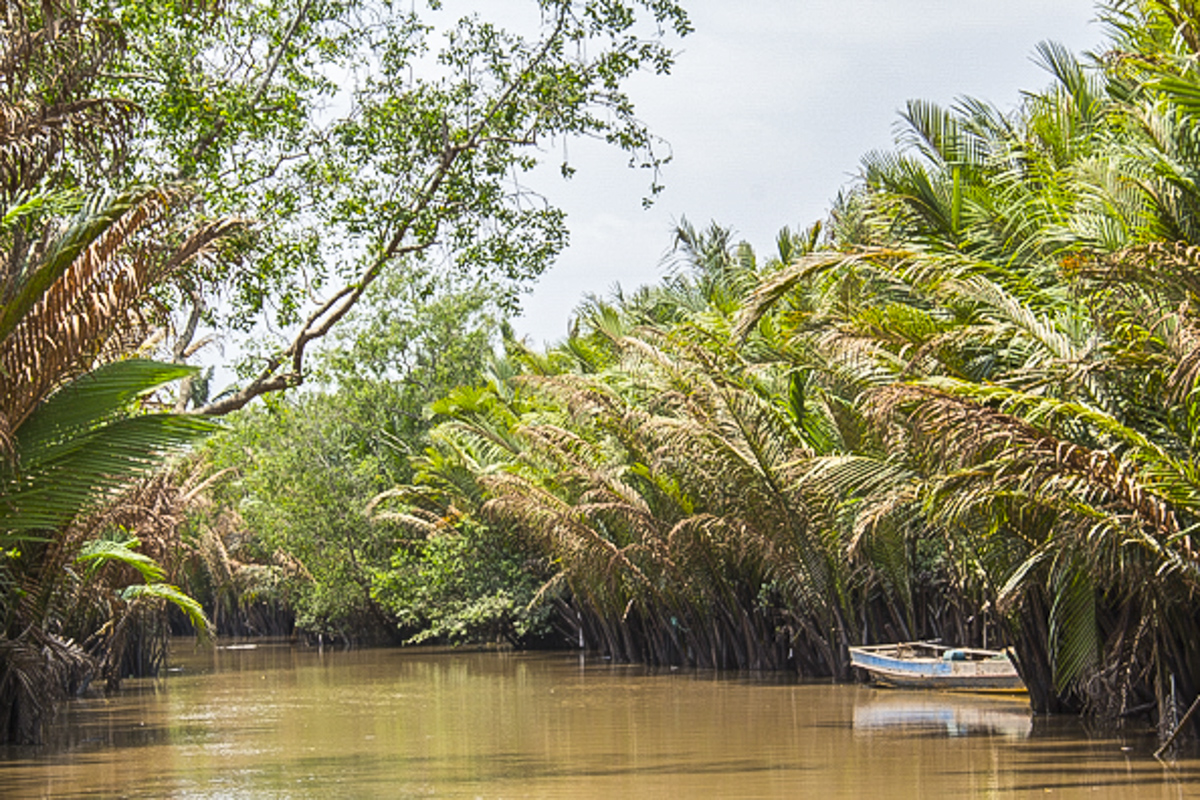 A Channel in the Mekong Delta in Vietnam