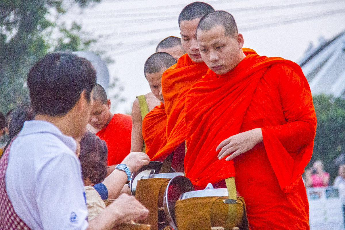 Buddhist Monks Receving Alms in Luang Prabang, Laos