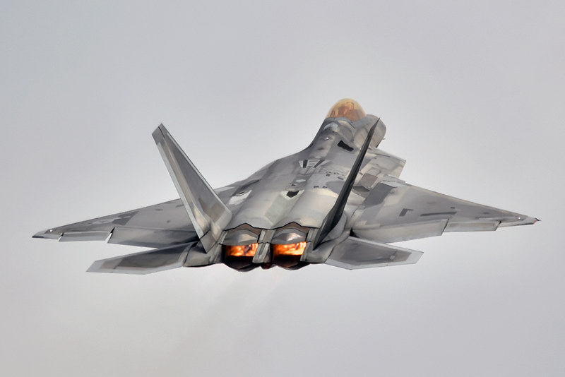 Raptor