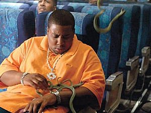 Snakes on a plane