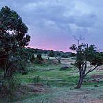 Enonkishu Conservancy in Kenya, East Africa