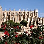The Cathedral in Parma on Mallorca