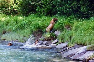 Stikene River in Alaska