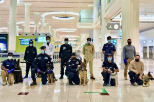 COVID-19 sniffer dogs at Dubai International Airport