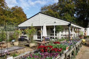 The Tea Room at the Garden Centre in Cranborne, Dorset