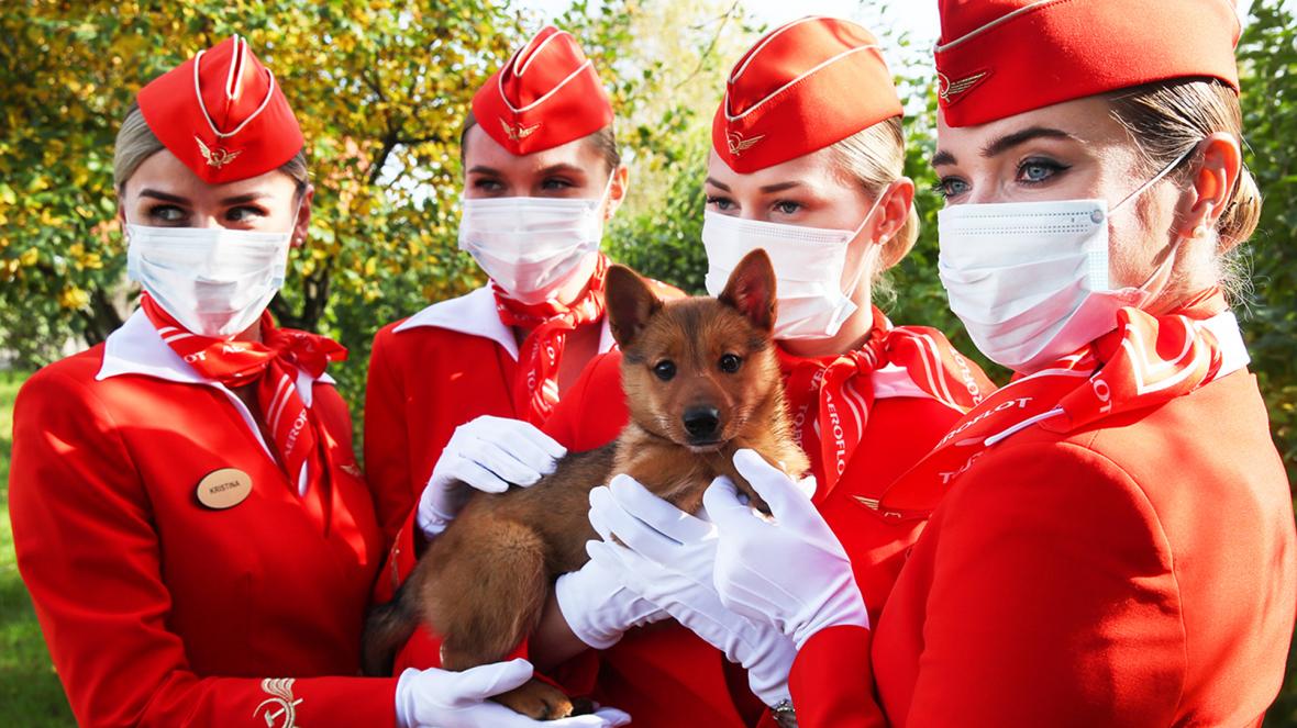 Aeroflot Crew in Masks