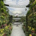 Glamping in Changi Airport