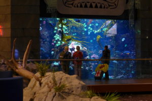 Vancouver Airport's aquarium