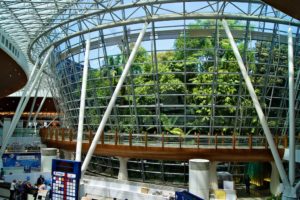 The inner airport jungle at Kuala Lumpur International Airport (KLIA)