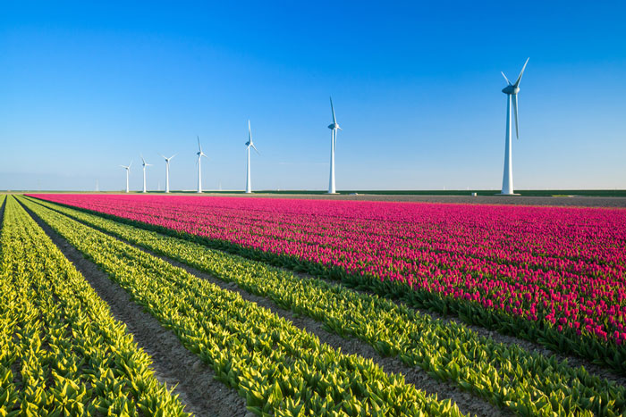Dutch wind farm Eneco and Schiphol group wind power deal