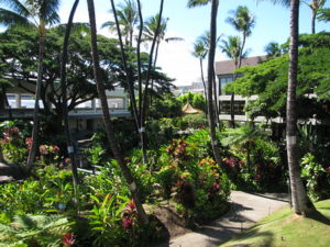 Outdoor green spaces at airport