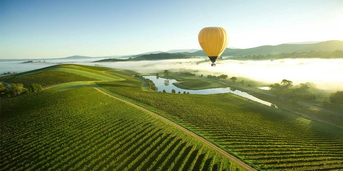 Victoria's Yarra Valley wine region
