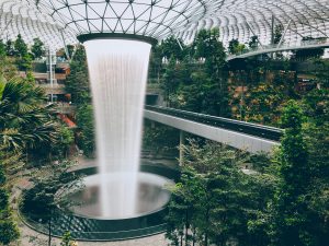 Singapore Hong Kong