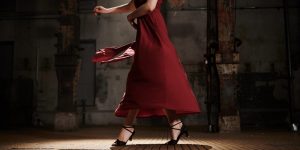 the waltz - lady in a red dress
