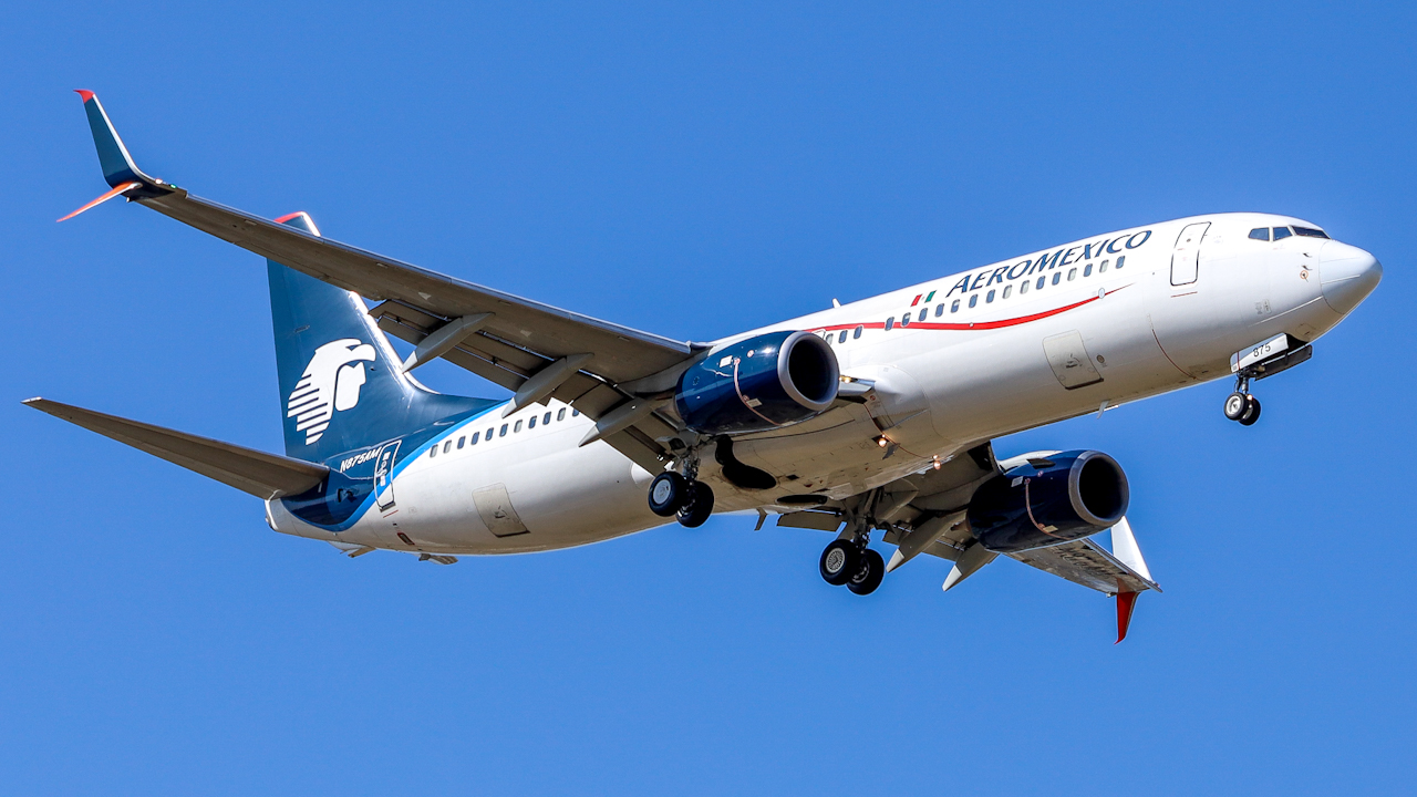 Aeromexico B737 moments before landing | ©: Andres Porco/Travel Radar