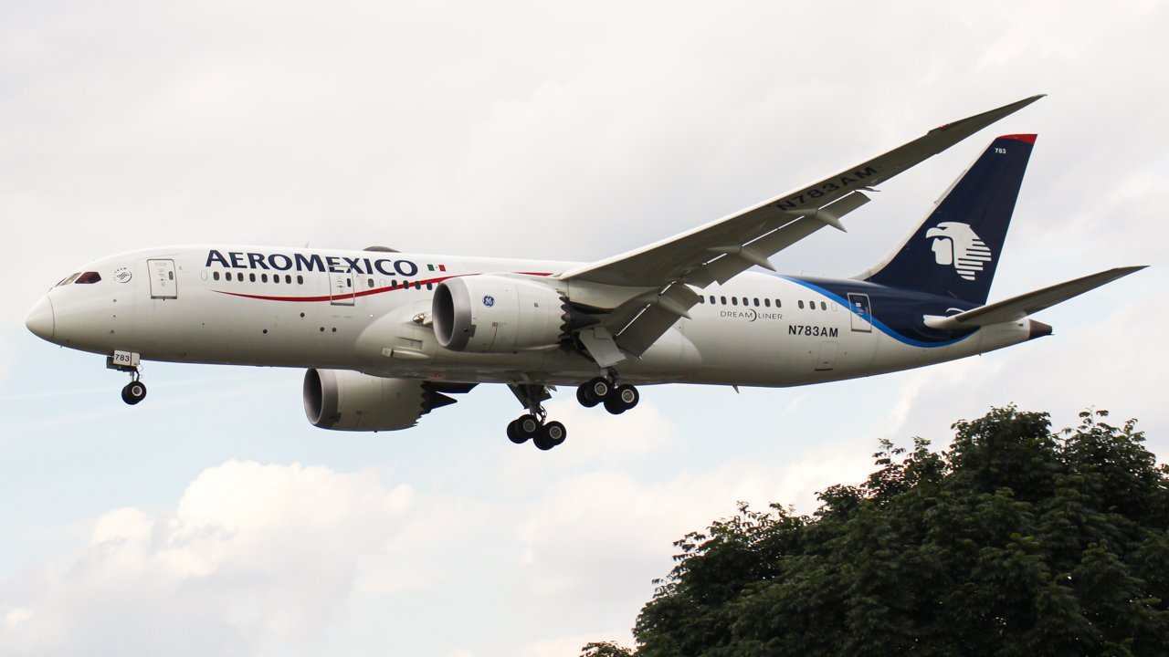 Aeromexico B787 moments before landing @ Anujan Jerad /Travel Radar