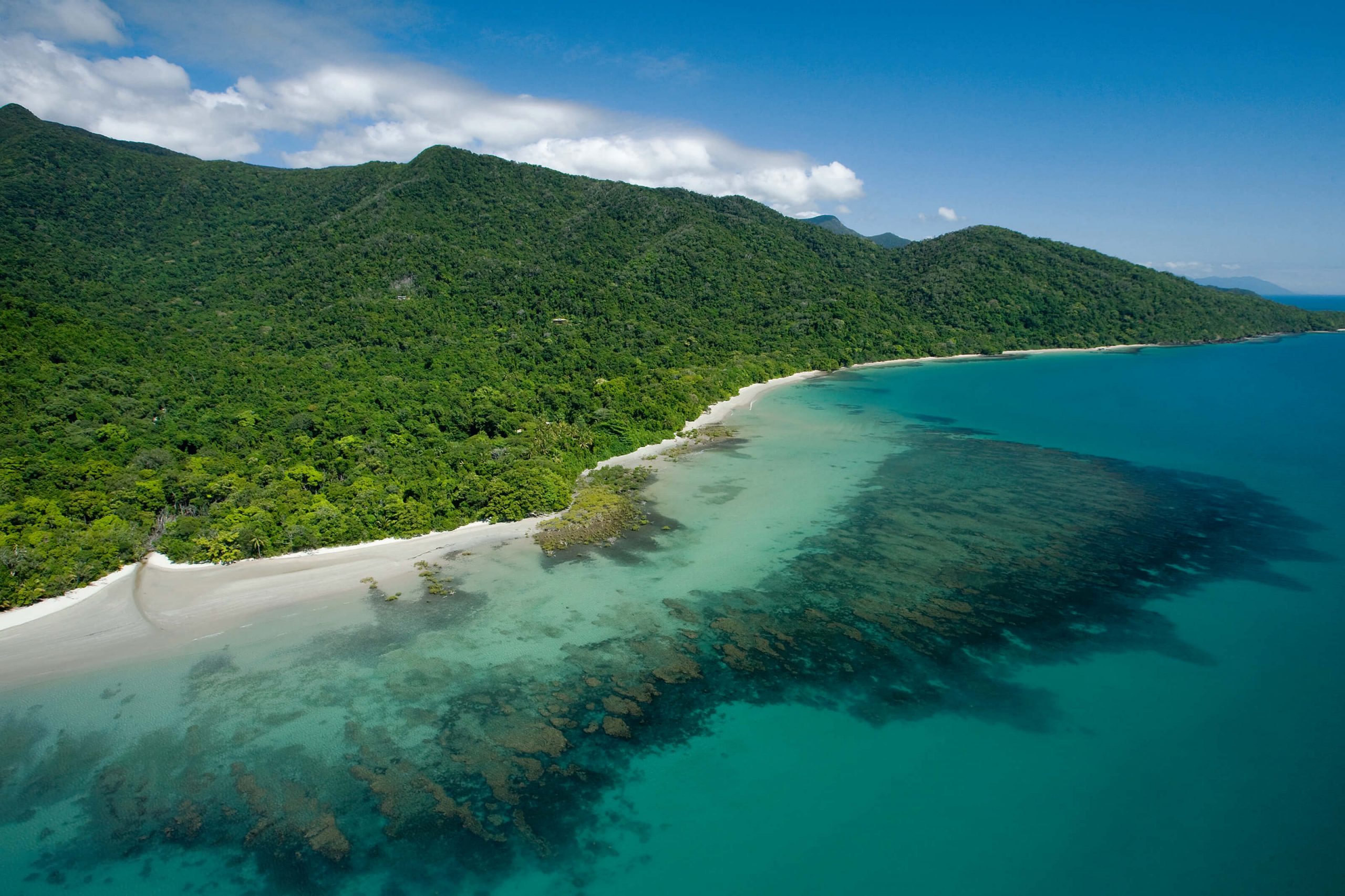 Two worlds collide at the daintree rainforest and the great barrier reef face a common threat, climate change. 