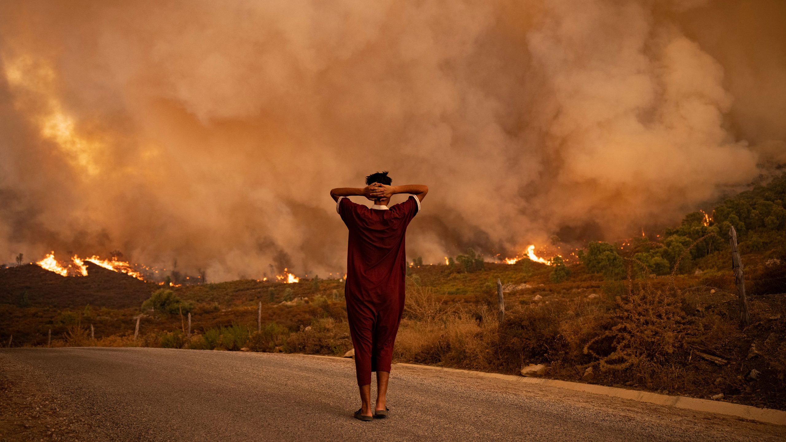 Aviation needs to act faster on climate change