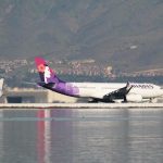 Hawaiian Airlines