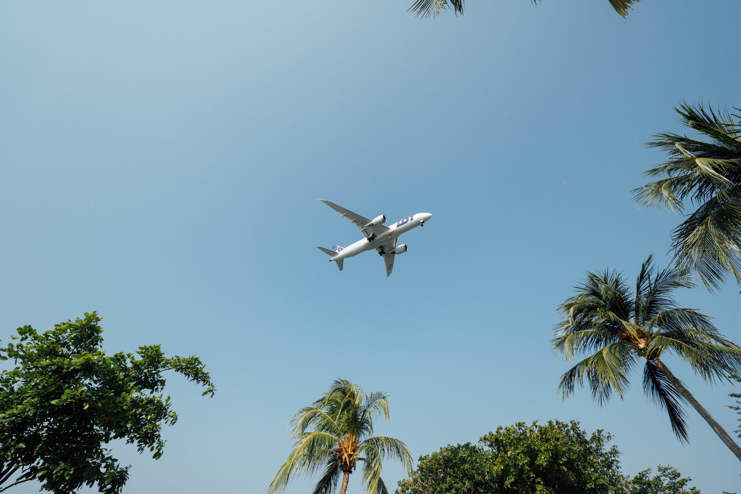 IATA welcomes progress towards net-zero aviation carbon emissions by 2050