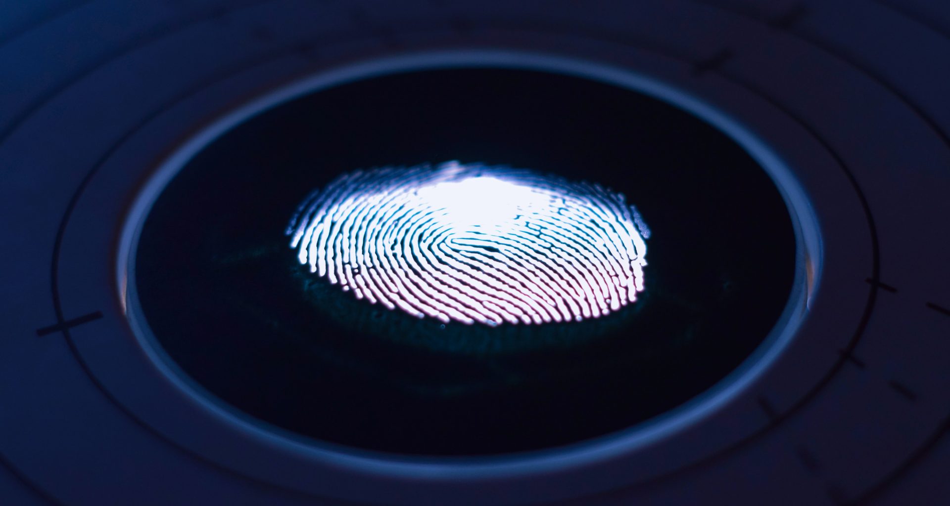 Image of a fingerprint scan