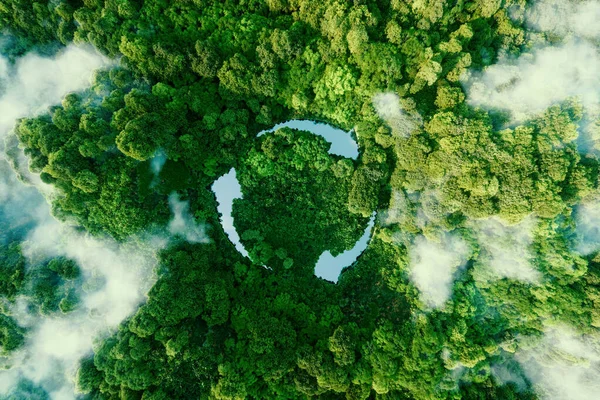 The image from the top of the forest and the recycling sign, imply environmental restoration.