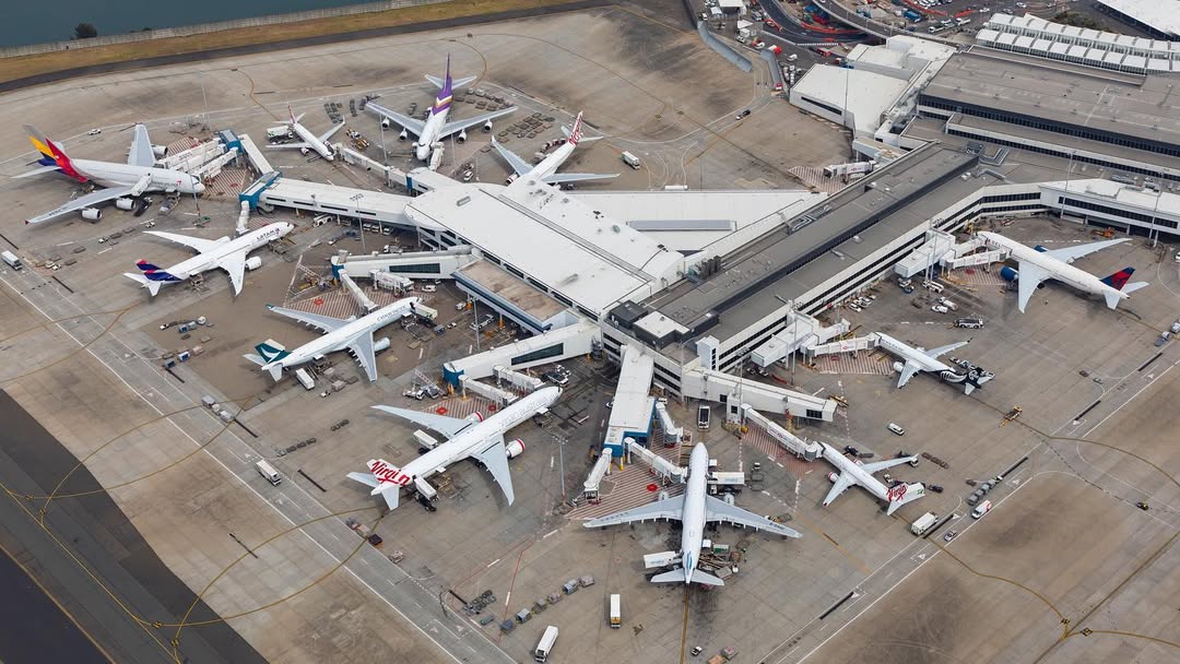 Multiple aircraft’s parked on the tarmac at Sydney Airport