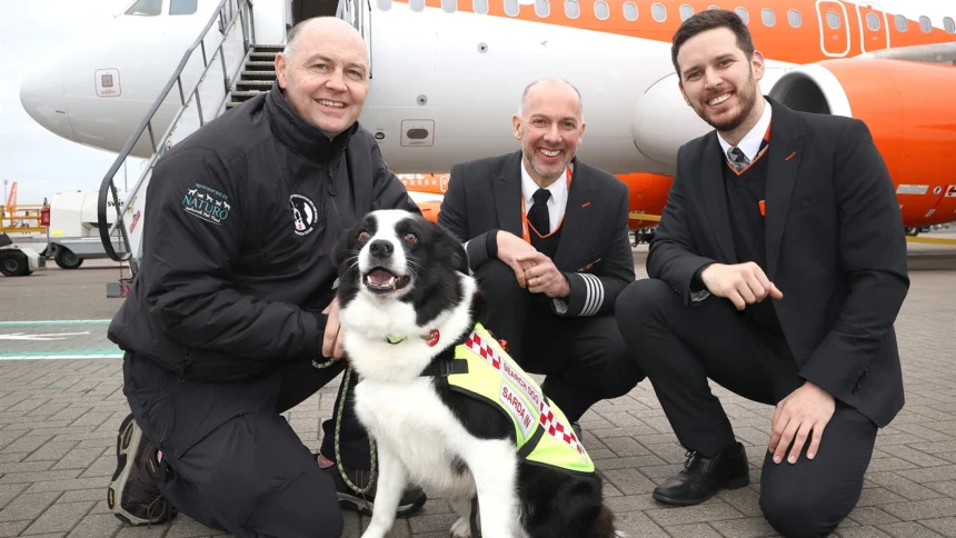 3 men and a SARDA IN search and rescue dog in front of an easyJet plane