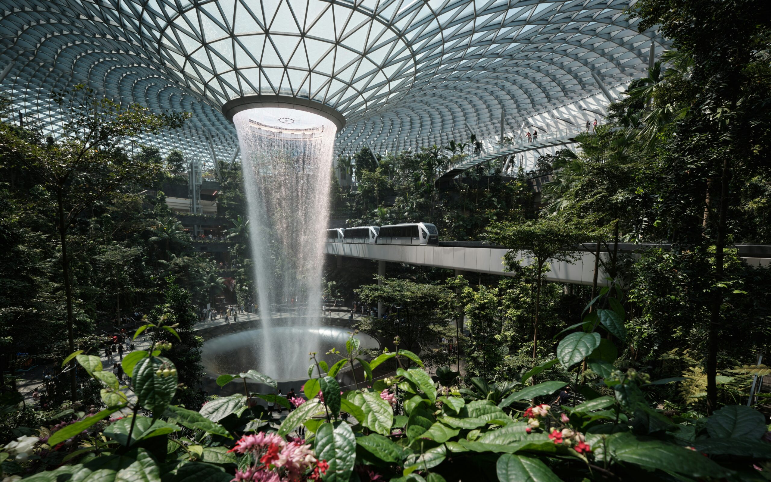 Greenery in the airport