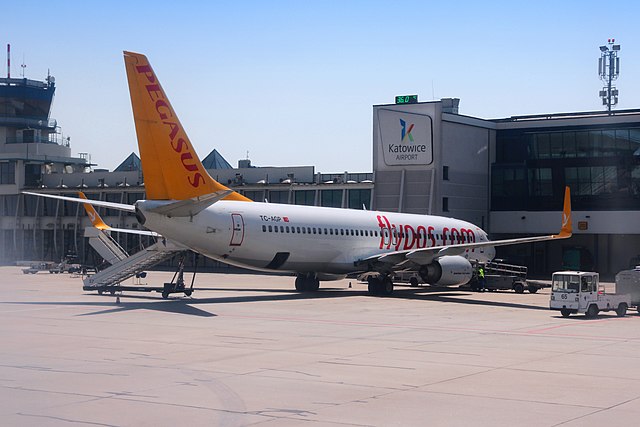 Pegasus Airlines, Strategic Expansion and Sustainability, the largest aircraft acquisition, Turkish, milestone order