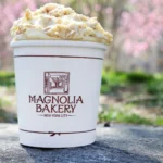 Magnolia Bakery's famous banana pudding
