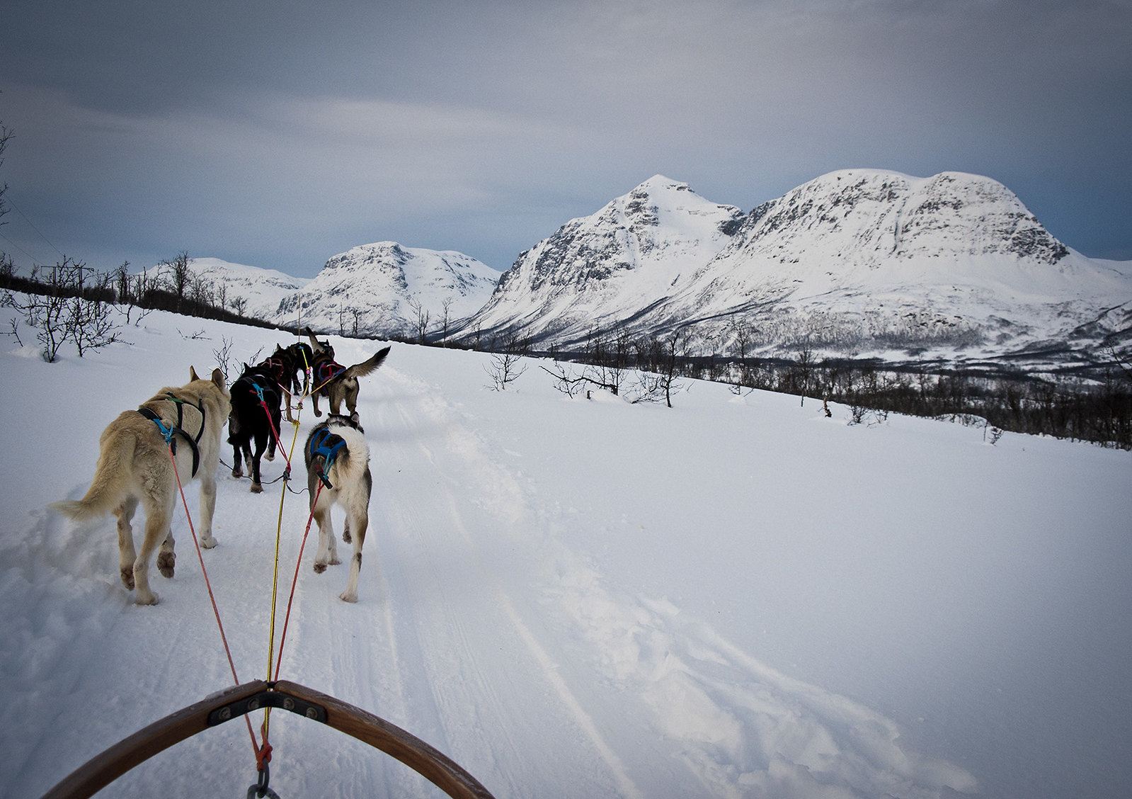 A Norwegian husky ride. One of the many winter activities available in and around Tromsø.