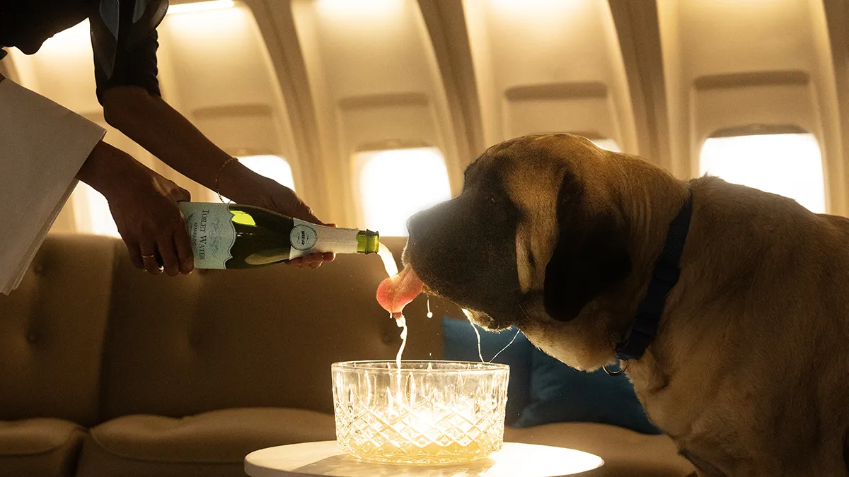 Doggy Champagne © Bark Air