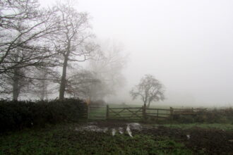 Foggy Weather
