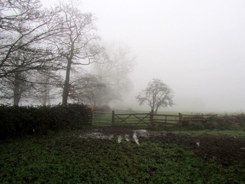 Foggy Weather