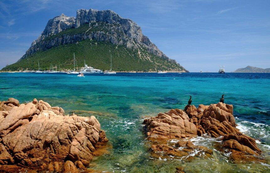 L'area naturale Marina Protetta Olbia ©TripAdvisor