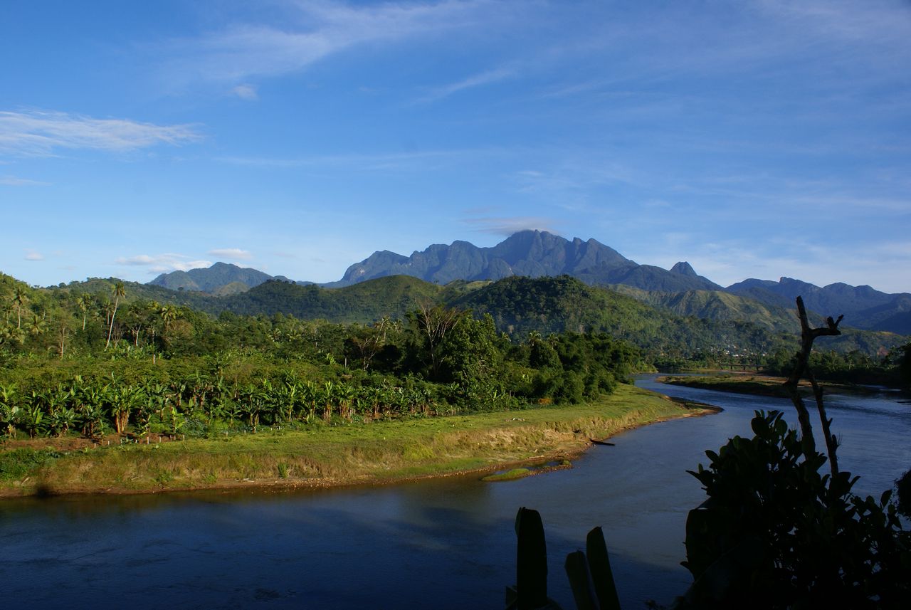 Marojejy mountains - Madagascar