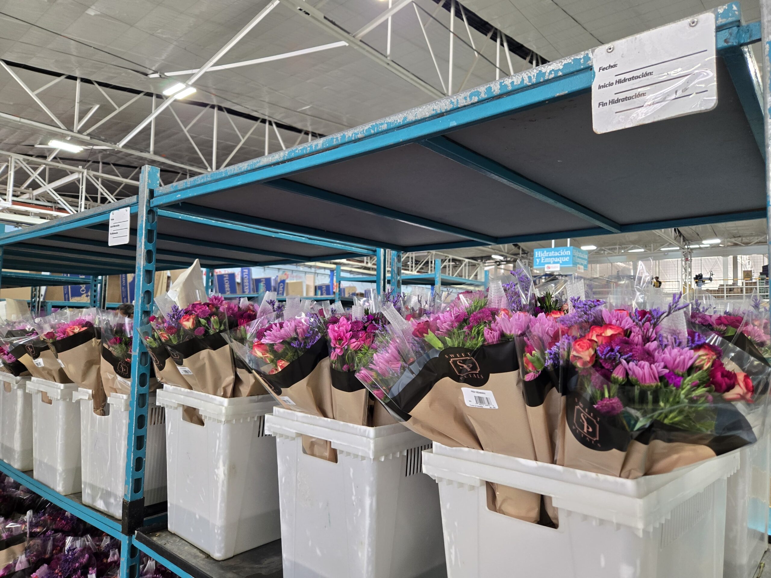 Flowers Farm 