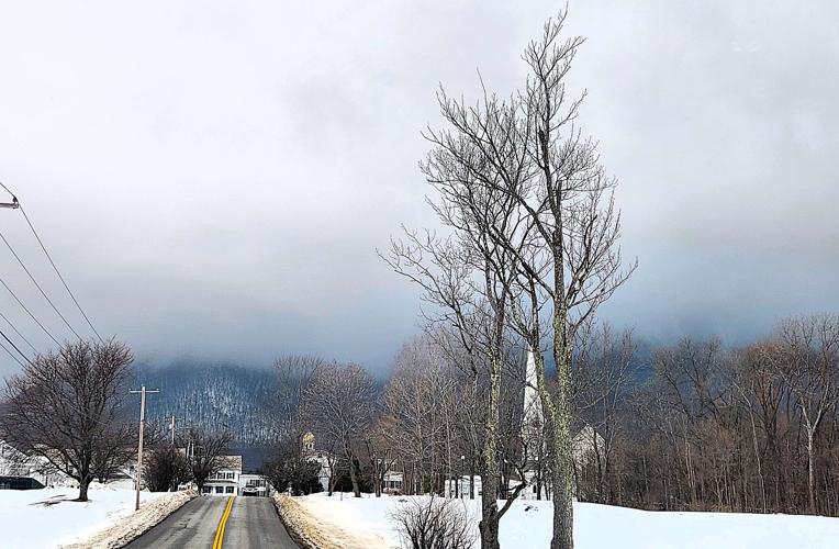 A snowy road leading towards Mount Equinox in Vermont, with bare trees lining the street and heavy clouds covering the mountain.