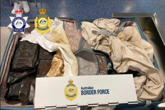 The contents of the cocaine smuggling operation