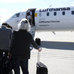 Ground services changes at Munich Airport by Lufthansa group airlines