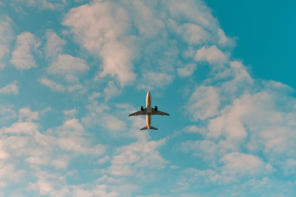 plane in fligth in the sky