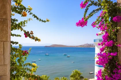 Bodrum Bougainvillea © Elegant Resorts