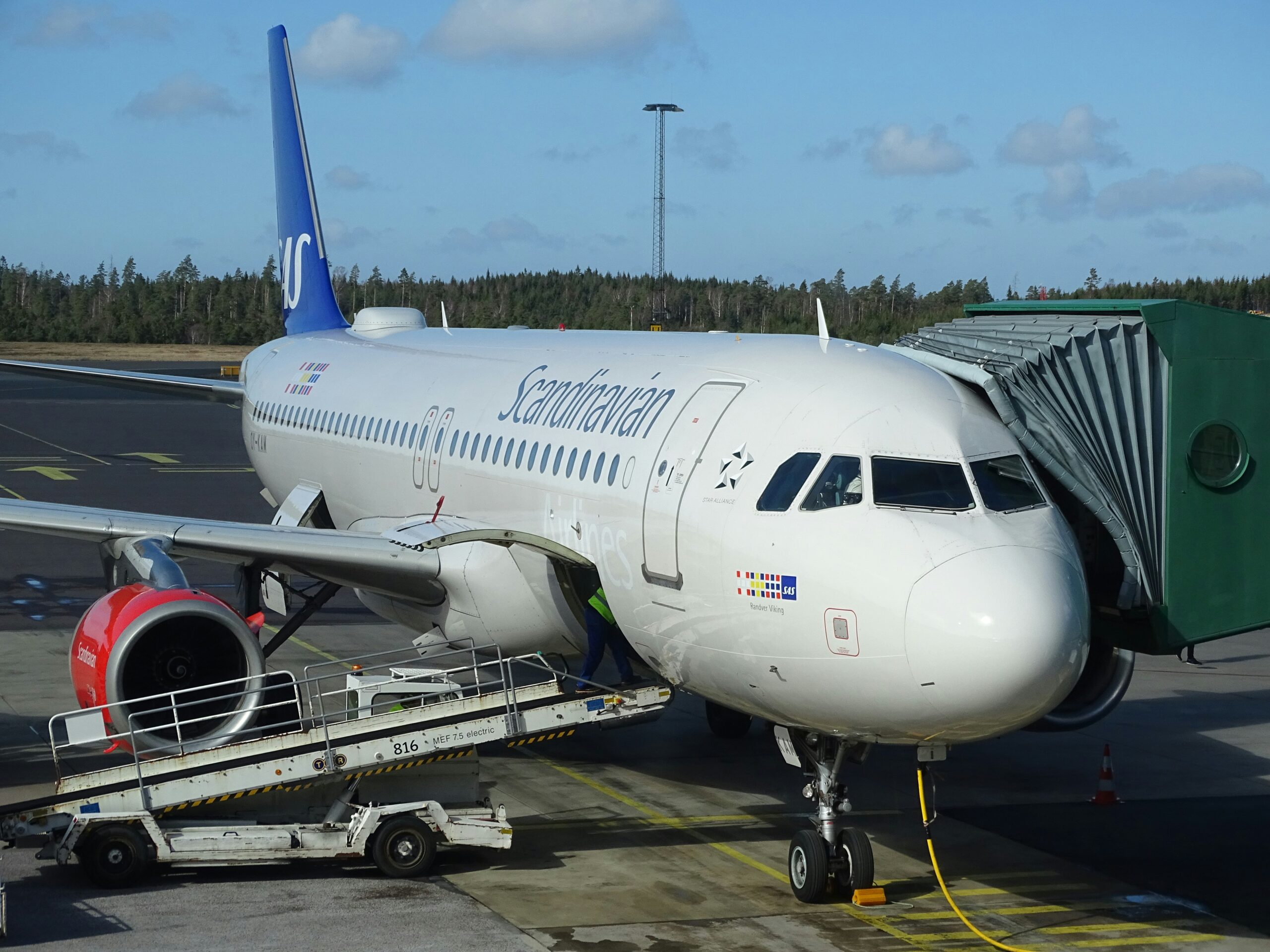 Scandinavian Airlines aeroplane at an airport gate with a baggage ramp and passenger boarding bridge connected.