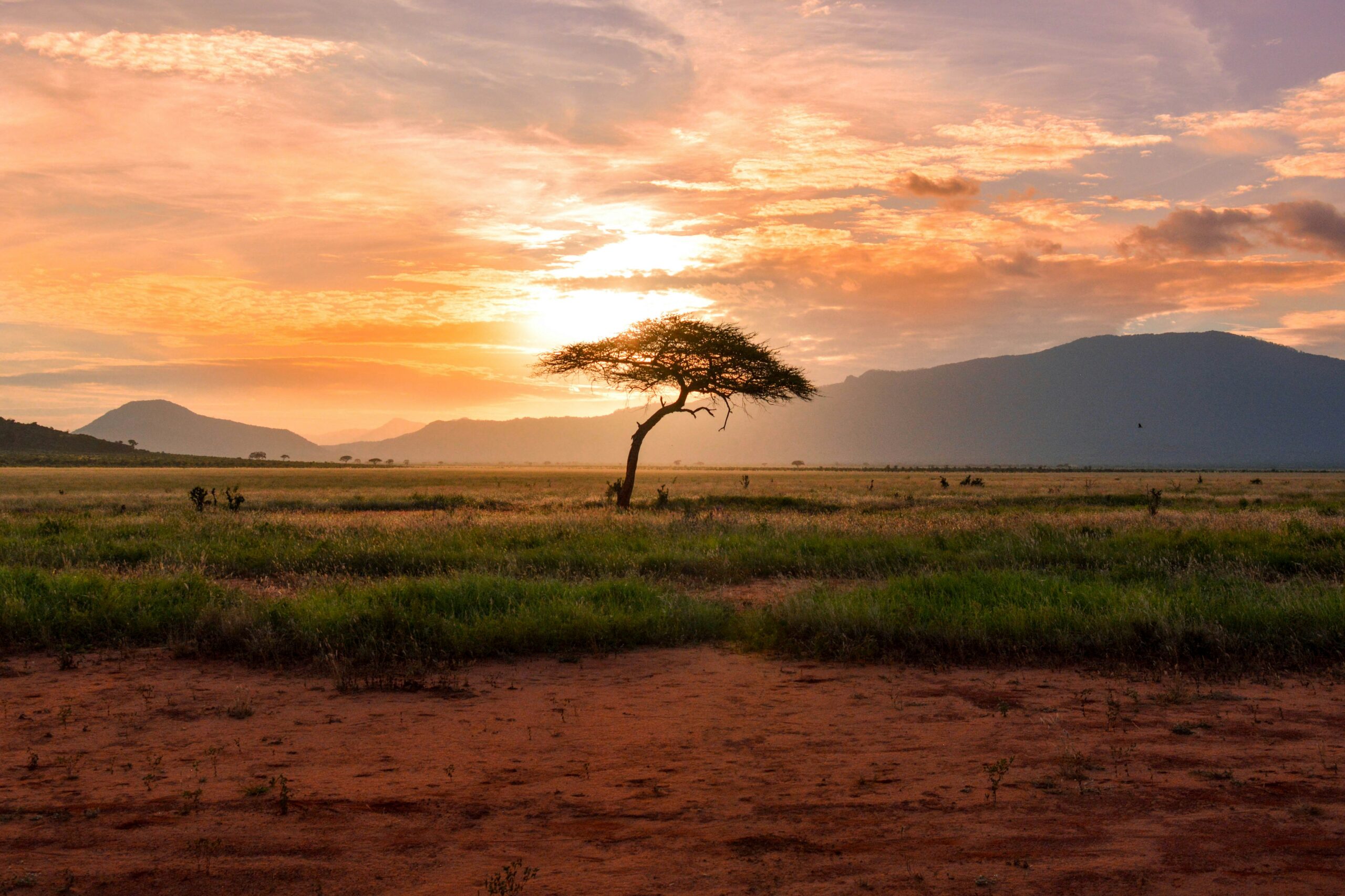 Africa trends as tourist hotspot