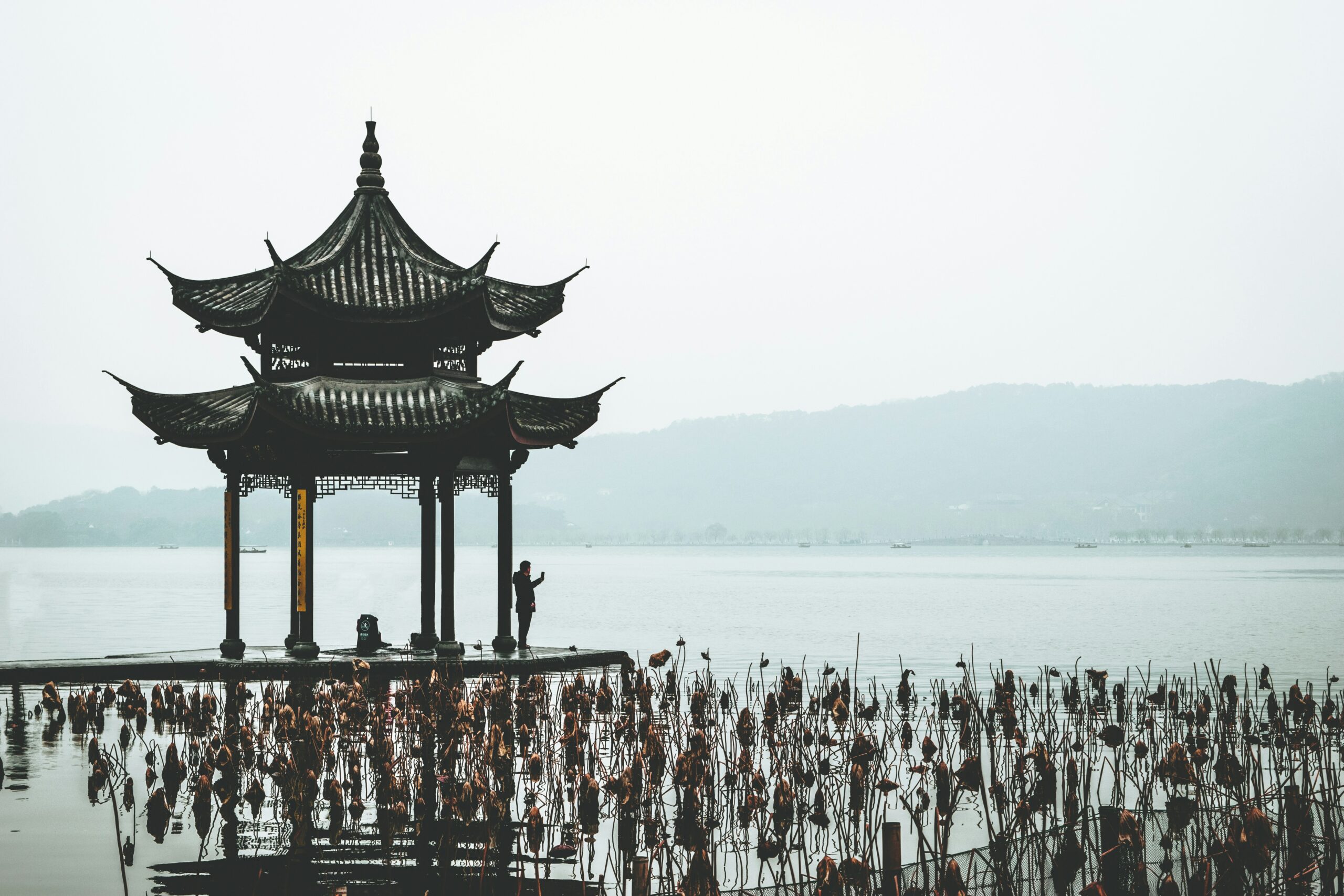 A person stands under a traditional Chinese pavilion by a lake, with dried lotus stems in the water and misty mountains in the background.