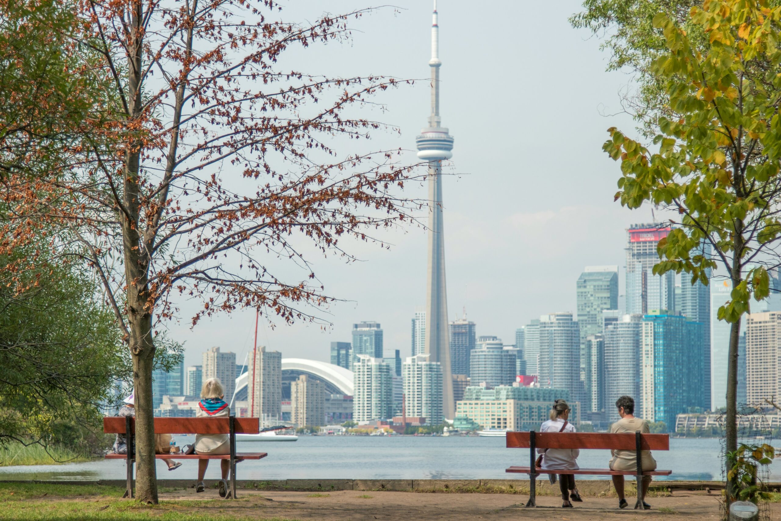 Three people sit on park benches facing a lake, framed by trees with autumn leaves. The Toronto skyline and CN Tower are visible in the background.