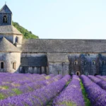 Notre-Dame de Sénanque, Provence, France © Getty Images