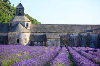 Notre-Dame de Sénanque, Provence, France © Getty Images