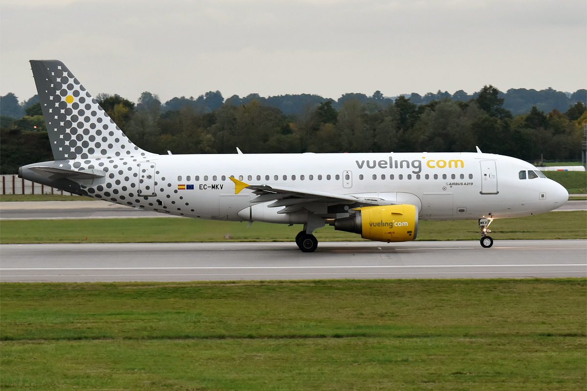 An image of a Vueling Airbus A319-111.